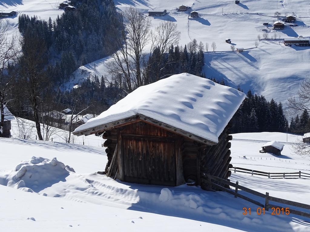 Anna'S Appartement Alpbach Luaran gambar