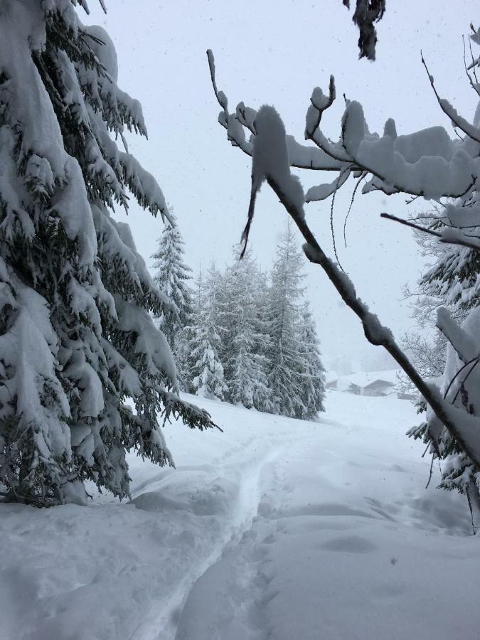 Anna'S Appartement Alpbach Luaran gambar